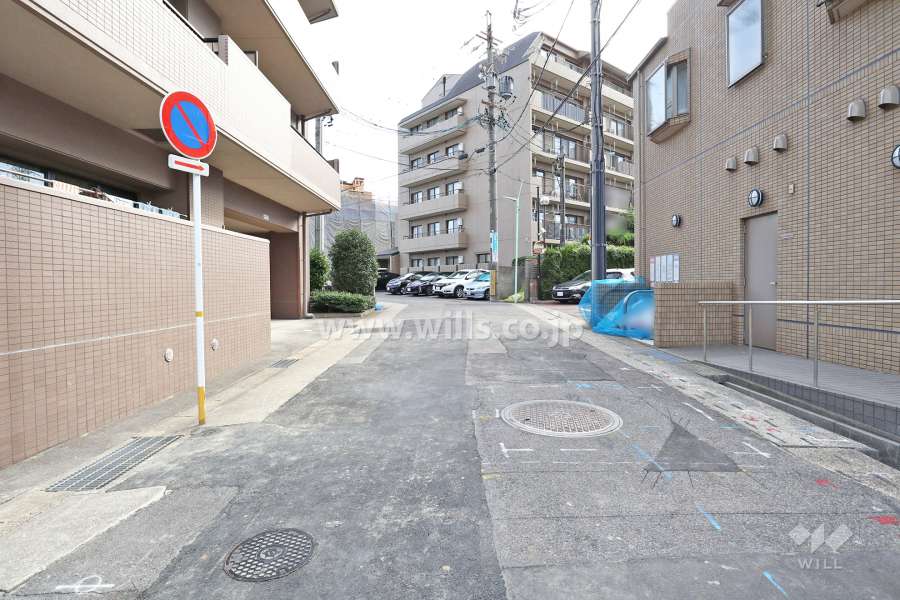 敷地南側の前面道路（西側から）