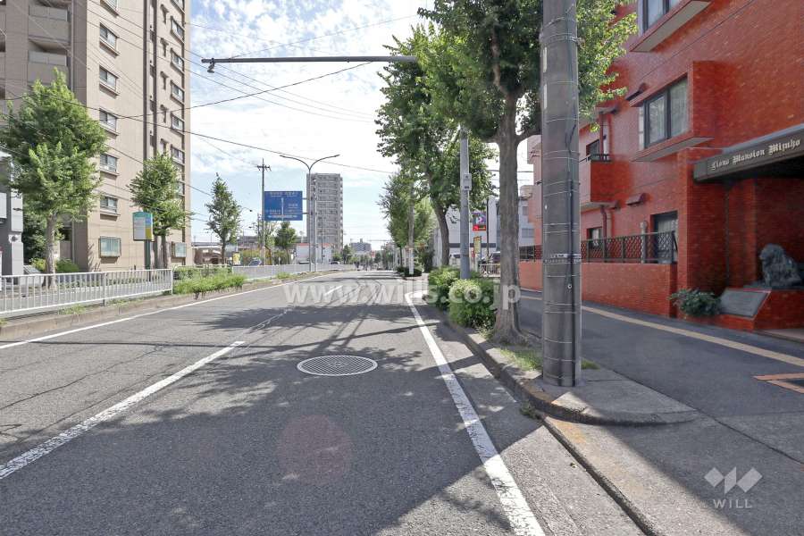 敷地東側の前面道路（北側から）
