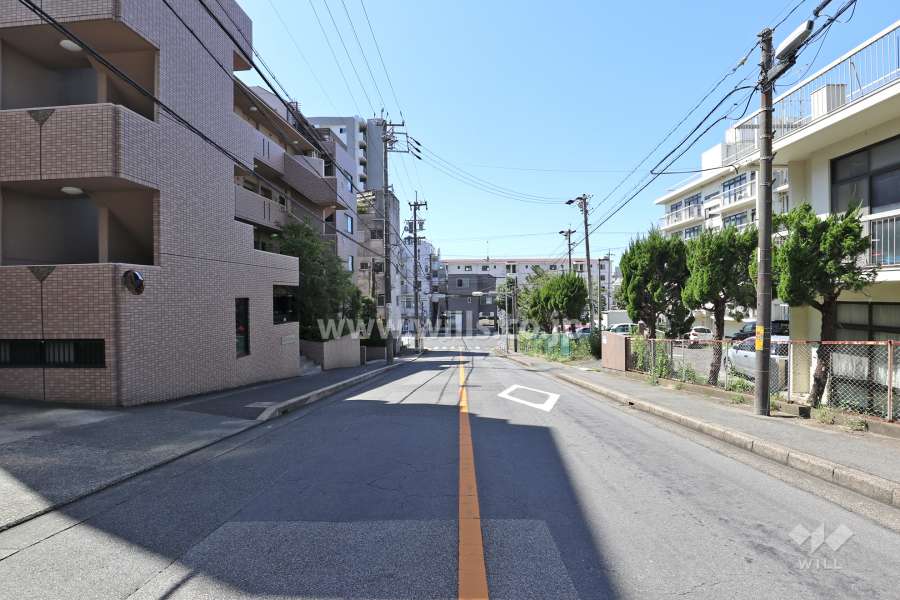 敷地北西側の前面道路（北東側から）