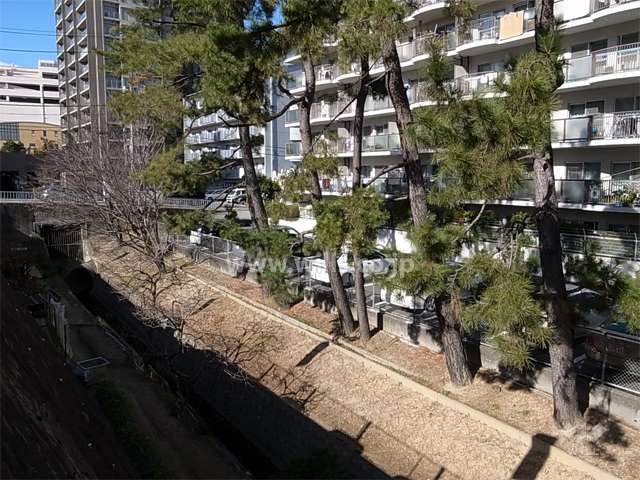 敷地南側には川が流れ、川沿いの松林がキレイです。