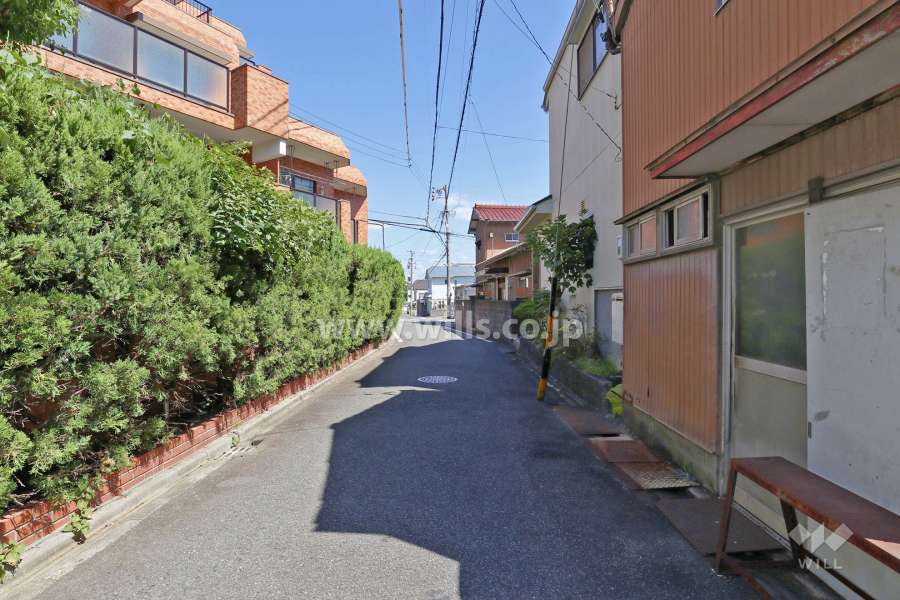 敷地南側の前面道路（西側から）