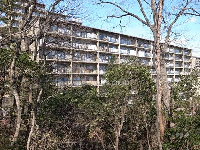 ユニハイム千里丘２号棟（南西側から）