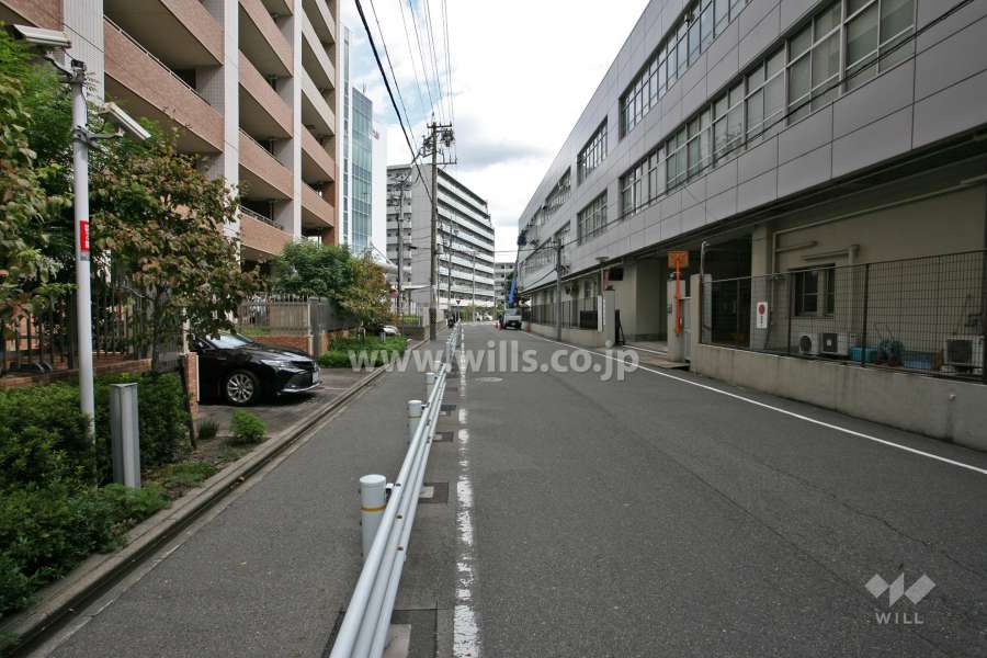 敷地南側の前面道路(西側から)