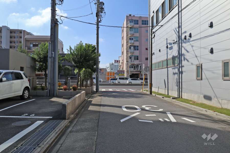 敷地の西側前面道路（北側から）