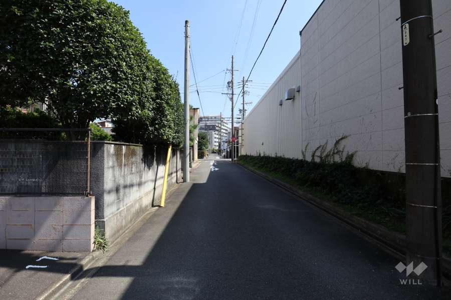 敷地の南側前面道路（西側から）
