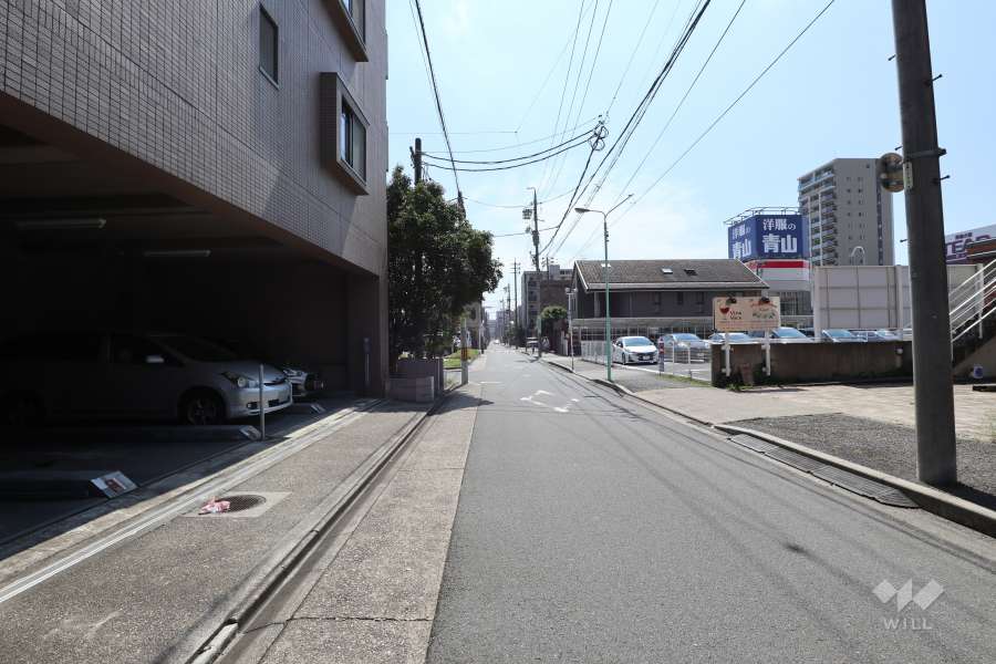 敷地の西側前面道路（北側から）