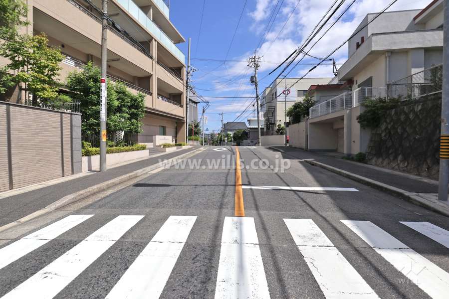 敷地南東側の前面道路（南西側から）