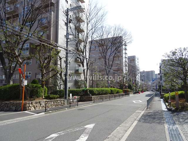 敷地西側の前面道路