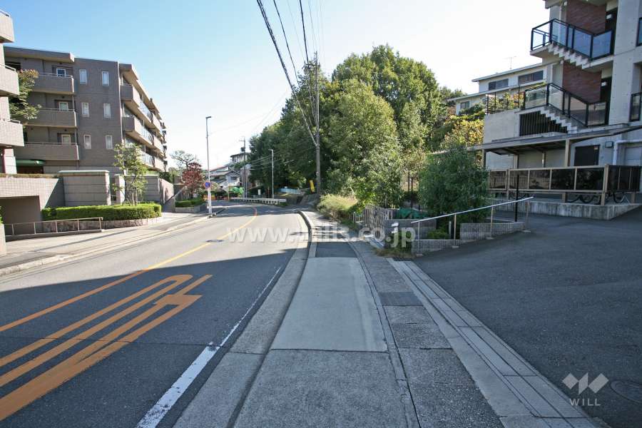 敷地北側の前面道路（西側から）