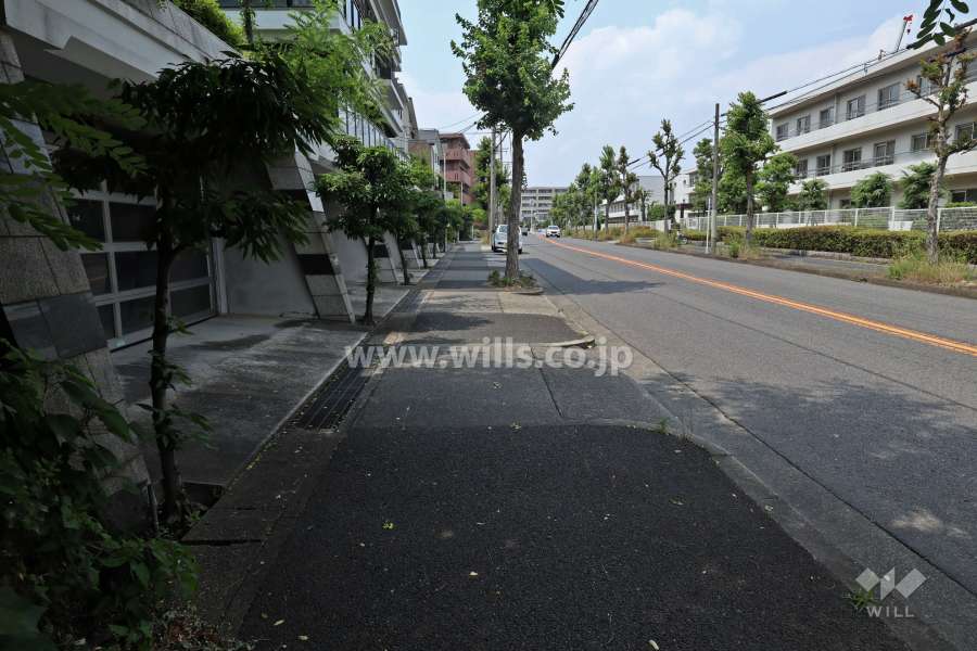 敷地の前面道路