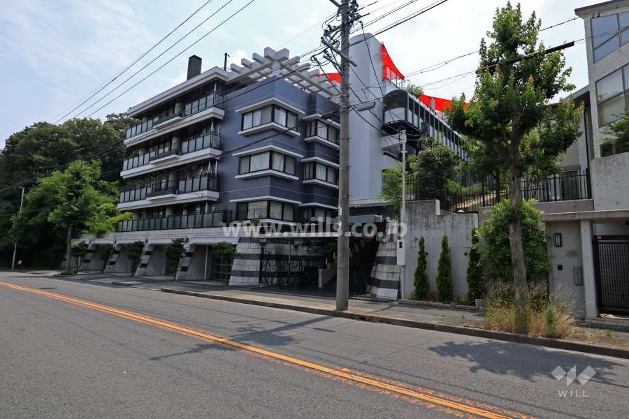 グランデュー柏木の外観（北東側から）