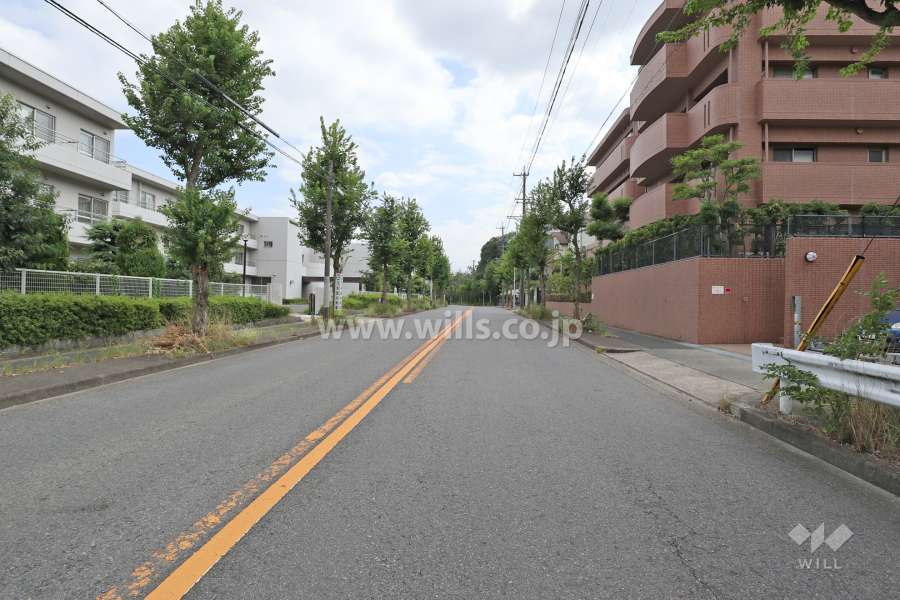 敷地東側の前面道路（北側から）