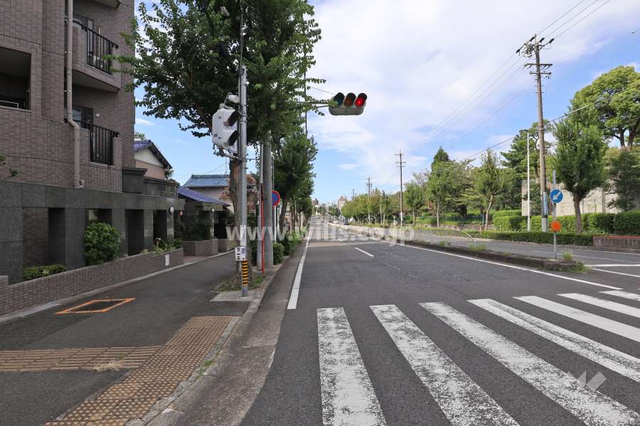 敷地北西側の前面道路（北東側から）