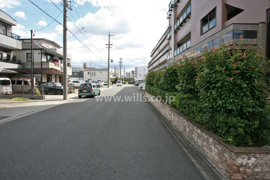 敷地北側の前面道路(西側から)