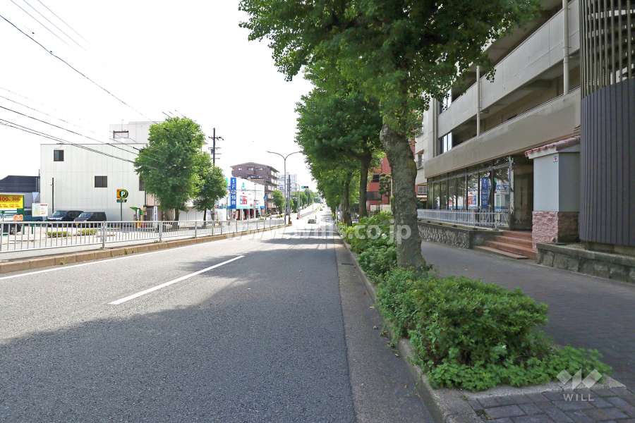 敷地北側の前面道路（西側から）