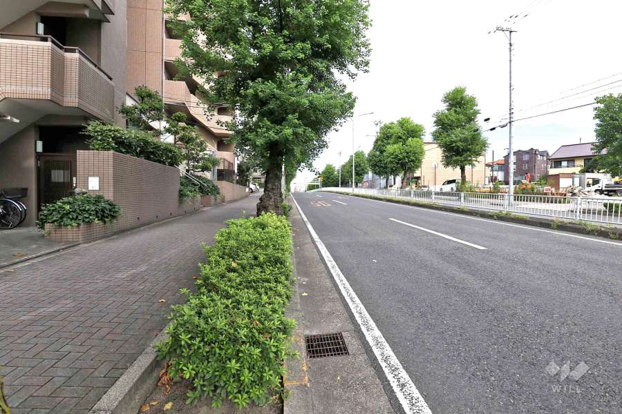 敷地北側の前面道路（東側から）