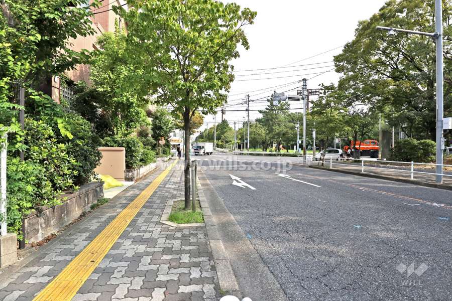 敷地東側の前面道路（南側から）