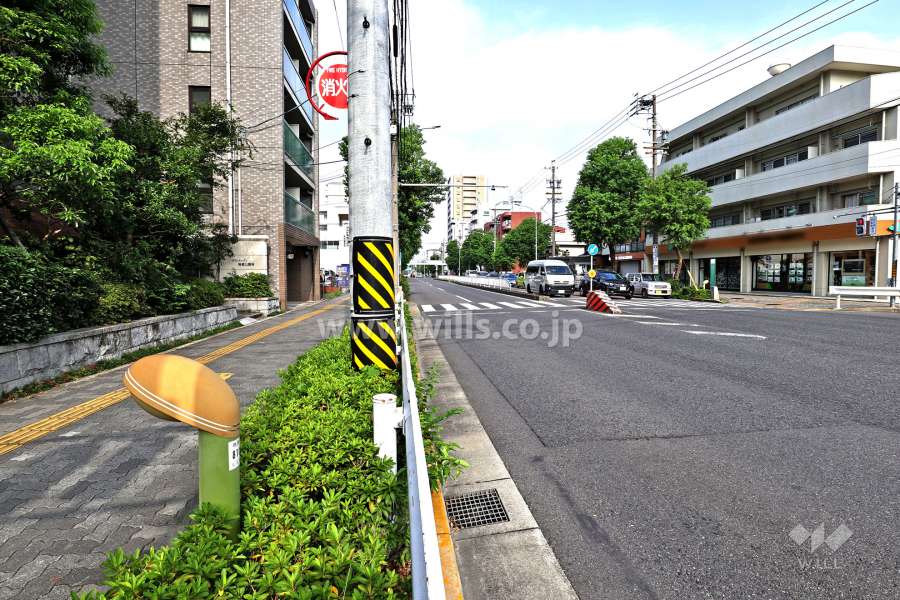 敷地北側の前面道路（東側から）