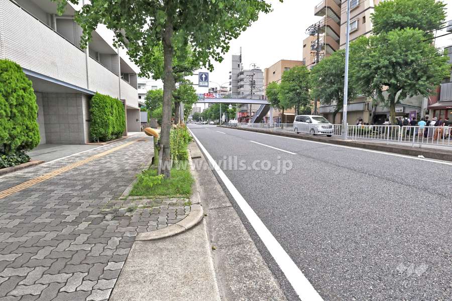 敷地南側の前面道路（西側から）