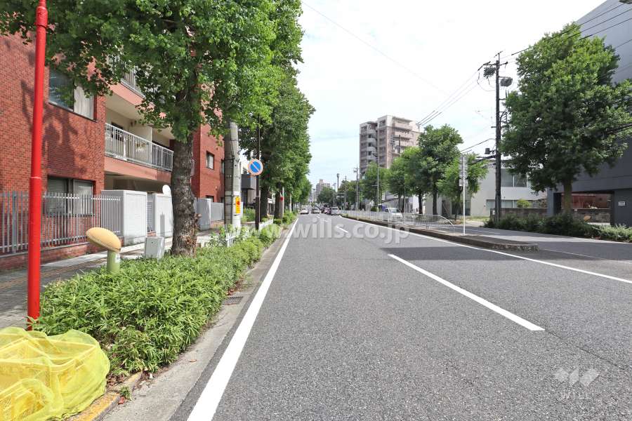 敷地南東側の前面道路（南西側から）