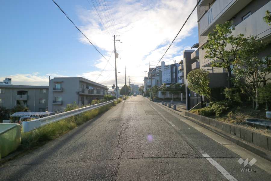 敷地北東側の前面道路（北西側から）