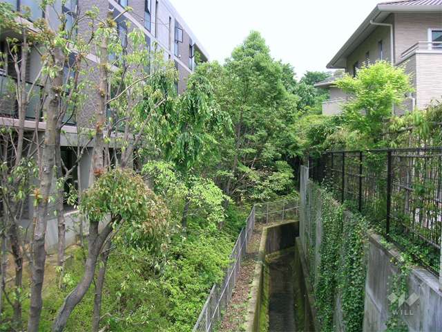 エントランス横には小さな川が流れています。