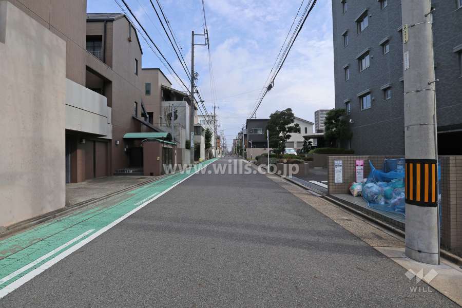 敷地西側の前面道路（南側から）
