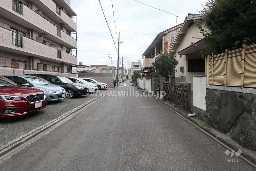 敷地南側の前面道路（西側から）