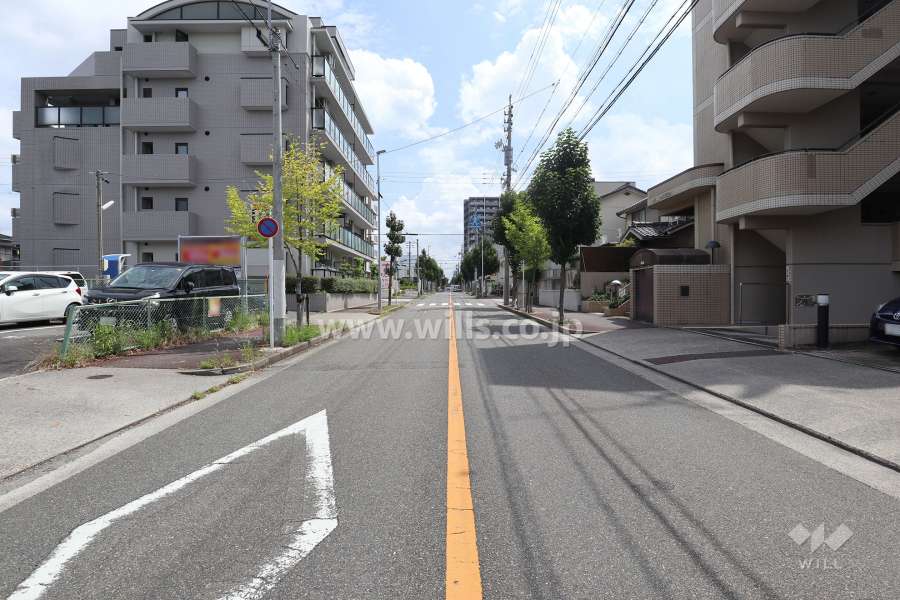 敷地北側の前面道路（西側から）