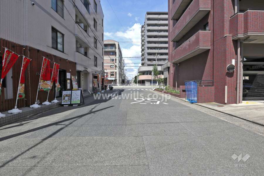 敷地西側の前面道路（南側から）