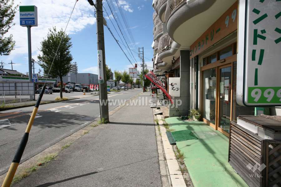 敷地南側の前面道路（東側から）
