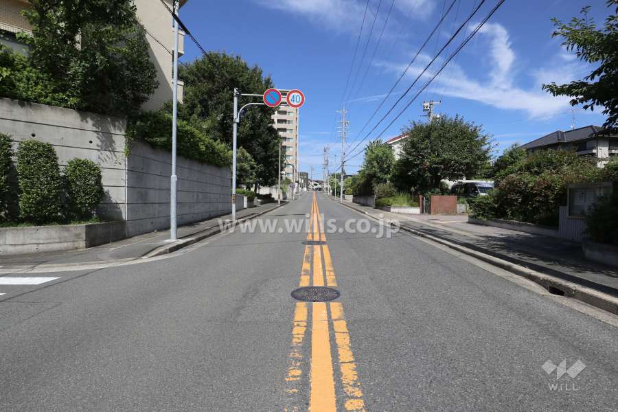敷地北東側の前面道路（南東側から）