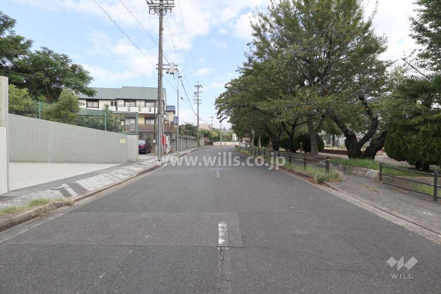 敷地東側の前面道路（南側から）