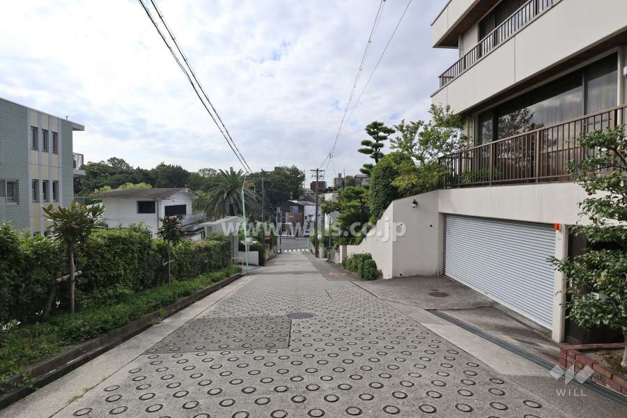 敷地西側の前面道路（北側から）
