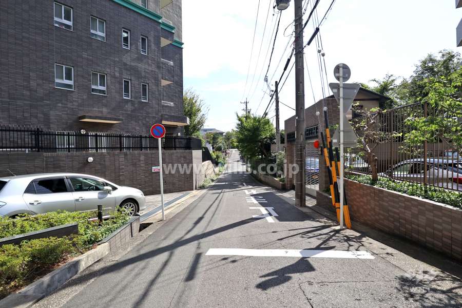敷地南西側の前面道路（北西側から）