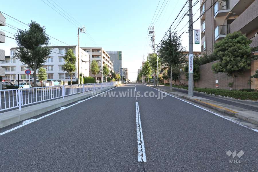敷地北西側の前面道路（南西側から）