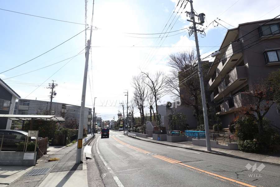 敷地東側の前面道路(北側から)
