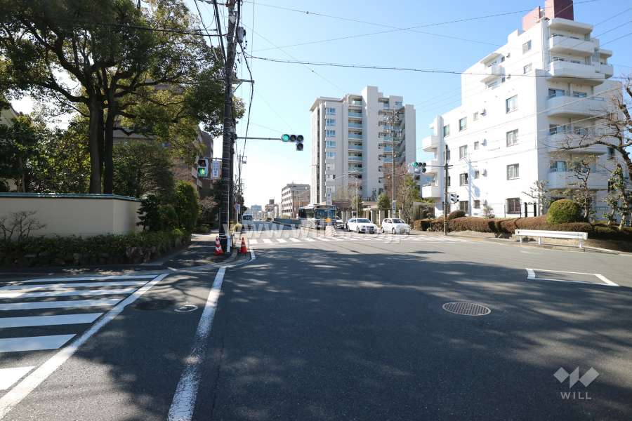 敷地の南東側前面道路（北東側から）