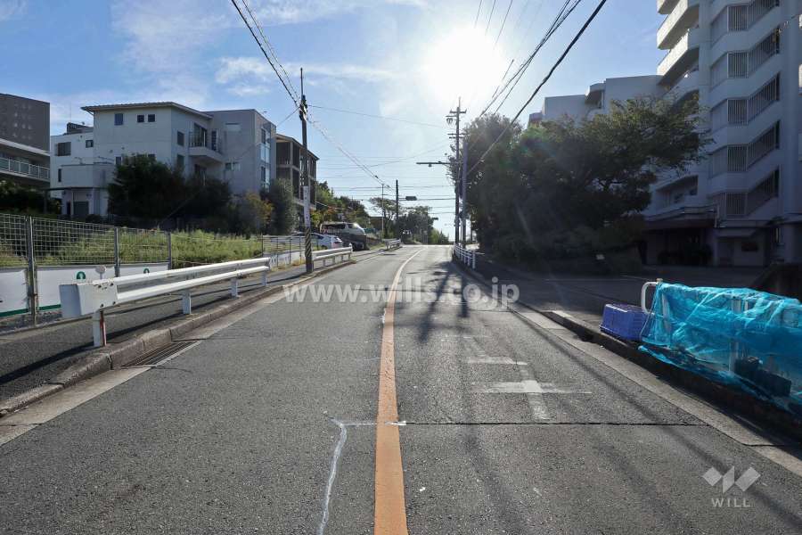 敷地北側の前面道路（西側から）