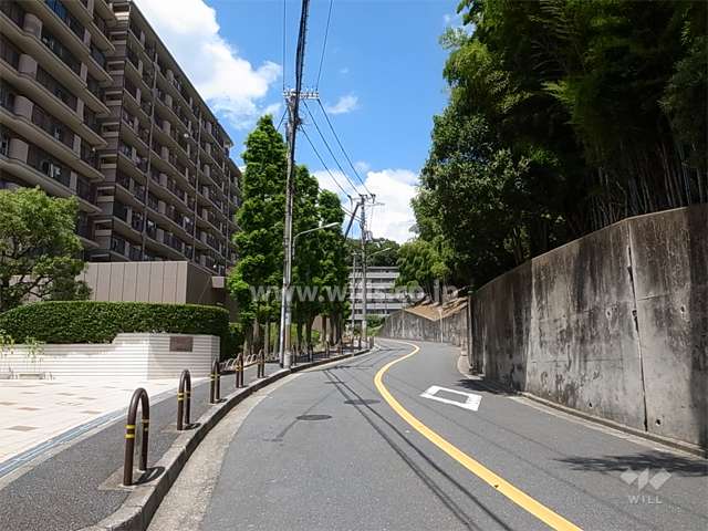 敷地東側の前面道路。