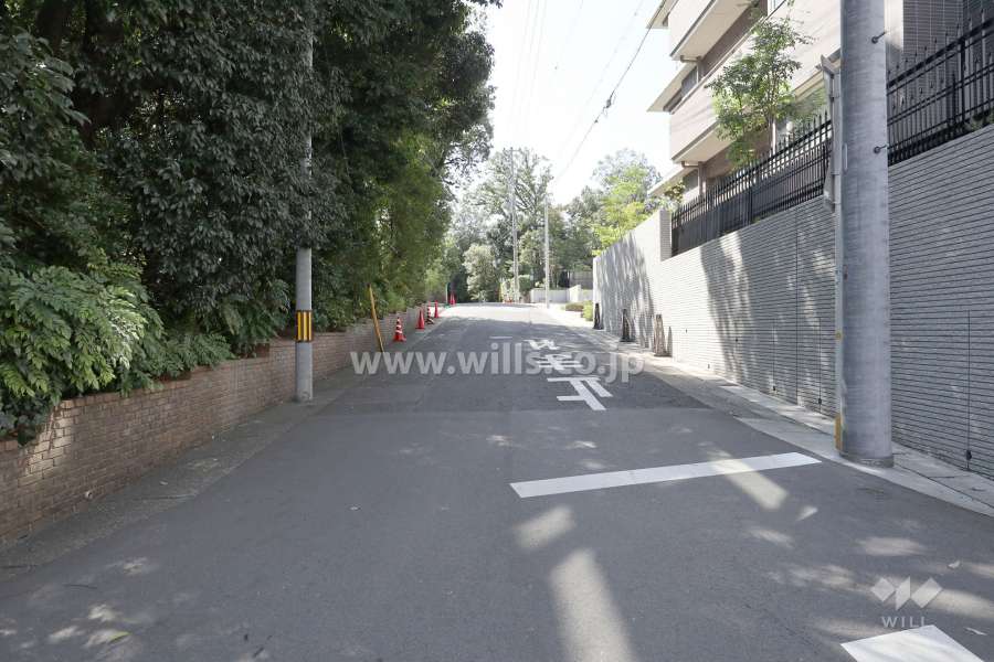 敷地東側の前面道路（北側から）