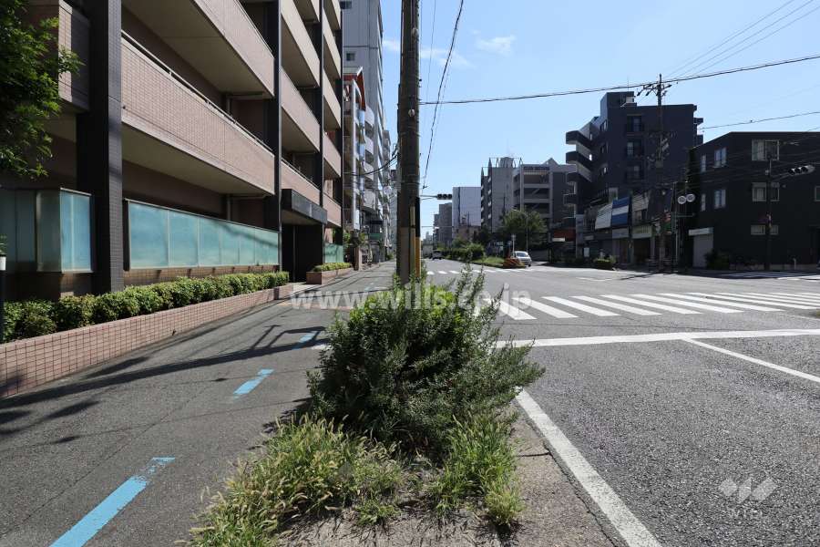 敷地南側の前面道路（西側から）