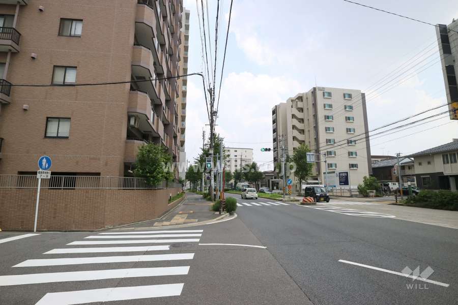 敷地南側の前面道路（西側から）