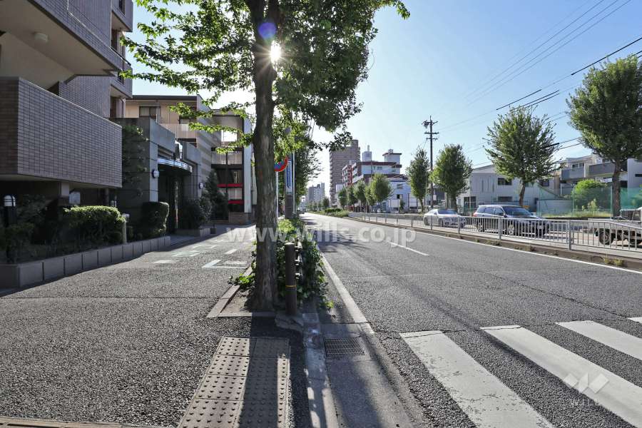 敷地北側の前面道路（東側から）