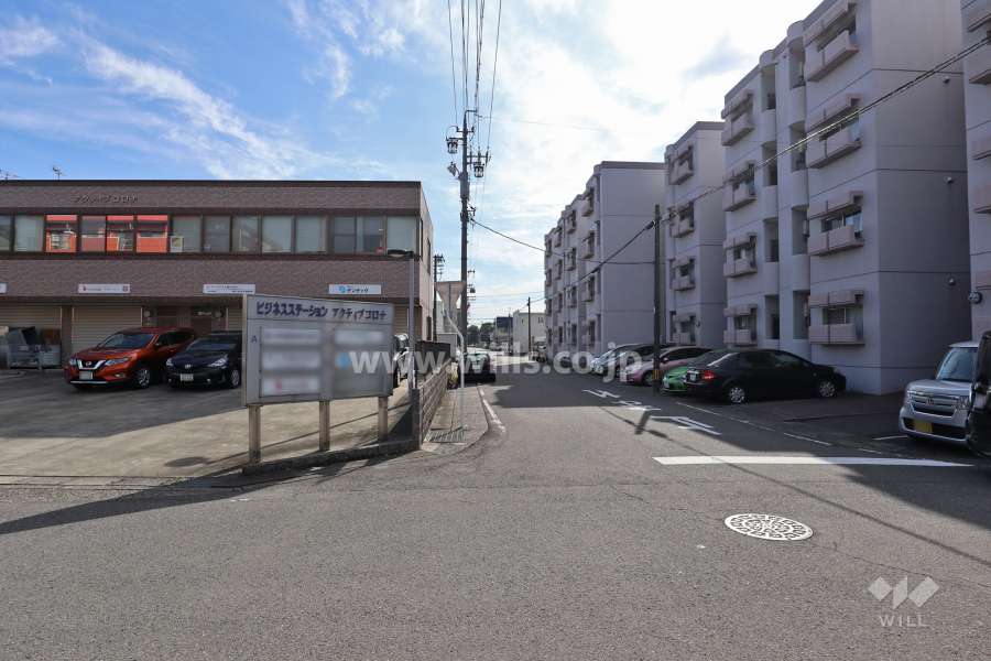 敷地北側の前面道路(西側から)