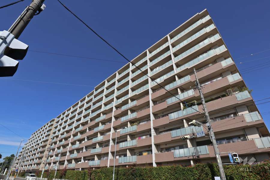 キャパシティの外観（南側から）