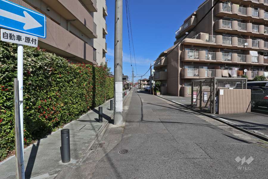 敷地南東側の前面道路（南側から）