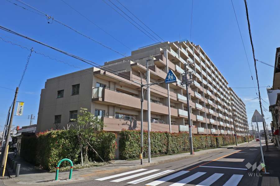 キャパシティの外観（西側から）