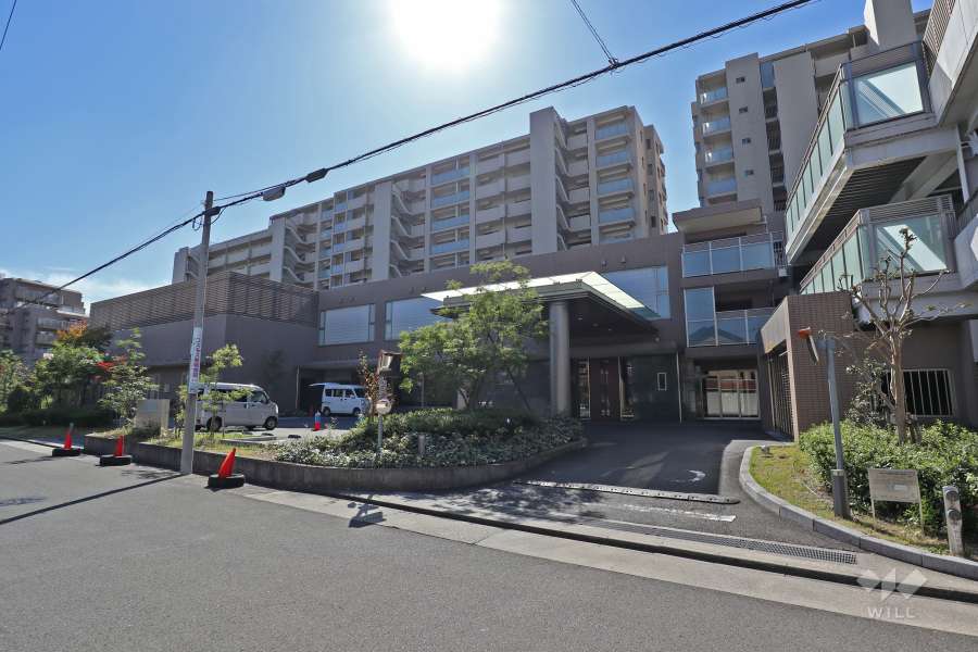 キャパシティの外観（北側から）