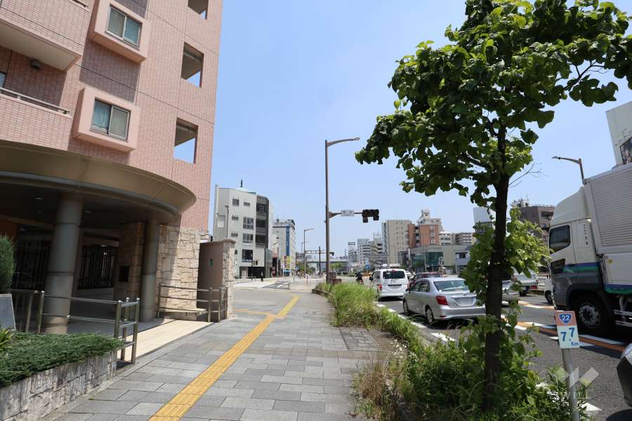 敷地南側の前面道路（西側から）